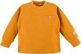 Eevi - Shirtje/Trui - Mosterd - Maat 62 - 2 t/m 4 maanden