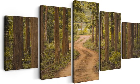 Artaza Canvas Schilderij Vijfluik Pad In Het Bos Met Bomen - 150x80 - Foto Op Canvas - Canvas Print