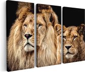 Artaza Peinture sur Toile Triptyque Lion et Lionne - Couple Amoureux - 150x100 - Groot - Photo sur Toile - Impression sur Toile