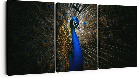 Artaza Tableau sur Toile Triptyque Paon Bleu avec Grandes Ressorts - 90x40 - Photo sur Toile - Impression sur Toile