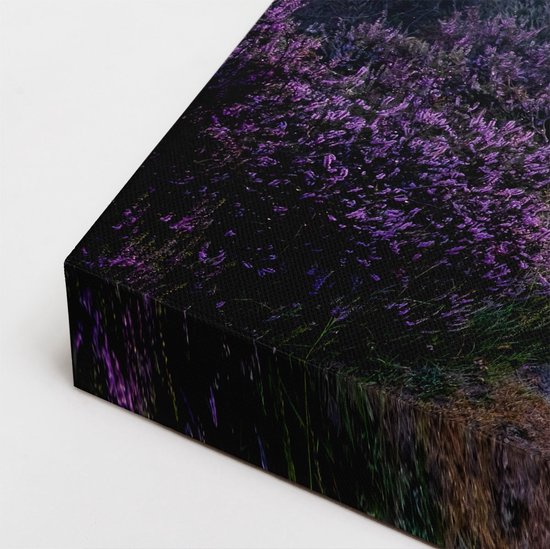 Artaza Tableau Triptyque Chemin dans la Prairie de la Veluwe - 180x80 - Groot - Photo sur Toile - Impression sur Toile