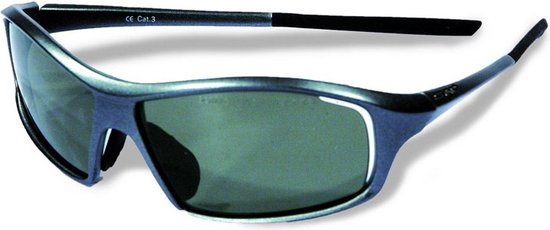 LUNETTES DE SOLEIL SH+ RG 4300 SF ARGENT