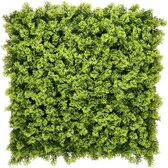 Wandplant l1b1m moss-mix2 per m2