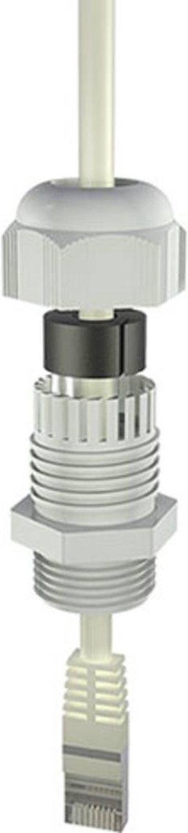 Bopla 12002414 Wartel M25 Polyamide 6 Grijs-wit (RAL 7035) 1 stuk(s)