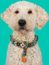 DWAM Collier Dog with a Mission – Collier pour chien – Oranje – XXL – Cuir – Tour de cou entre 55-65 x 4 cm – Morgan