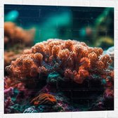 Muursticker - Oceaan - Zee - Koraal - Kleuren - 80x80 cm Foto op Muursticker
