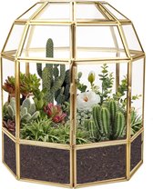 9,2 inch grote geometrische terrarium plantenbak, huisvorm zwarte handgemaakte glazen doos, vintage tafelblad miniatuur bloempot voor vetplanten, cactussen, luchtplanten (gouden vogelkooi vorm)