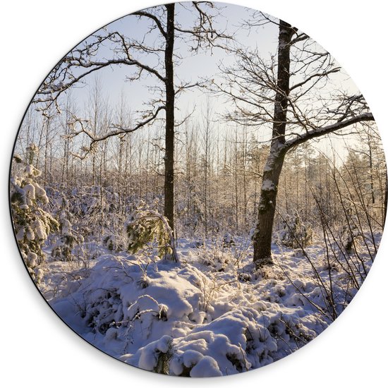 Dibond Muurcirkel - Landschap - Winter - Bomen - Planten - Sneeuw - Zon - 50x50 cm Foto op Aluminium Muurcirkel (met ophangsysteem)