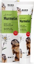 Murmelin - Sport- en Gewrichtszalf - met marmotolie, arnica-extract, bergpijnboomolie - 60ml