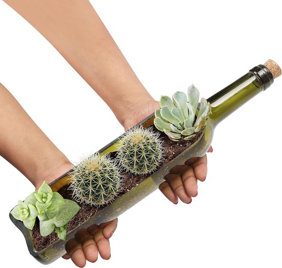Vaas Uil Handversierd Set - 8 Cm Voor Vetplanten & Bloemen, Schattige Woondecoratie XS
