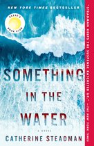 Something in the Water A Novel