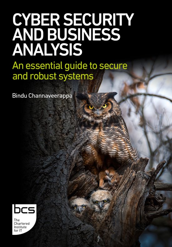 Cyber Security and Business Analysis - cover