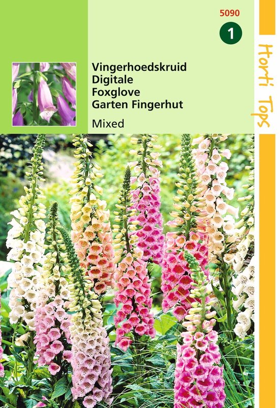 2 stuks Hortitops Digitalis Purpurea Gemengd