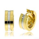 Juwelier Zwartevalk - Stalen bicolor oorbellen 33.008/gold--