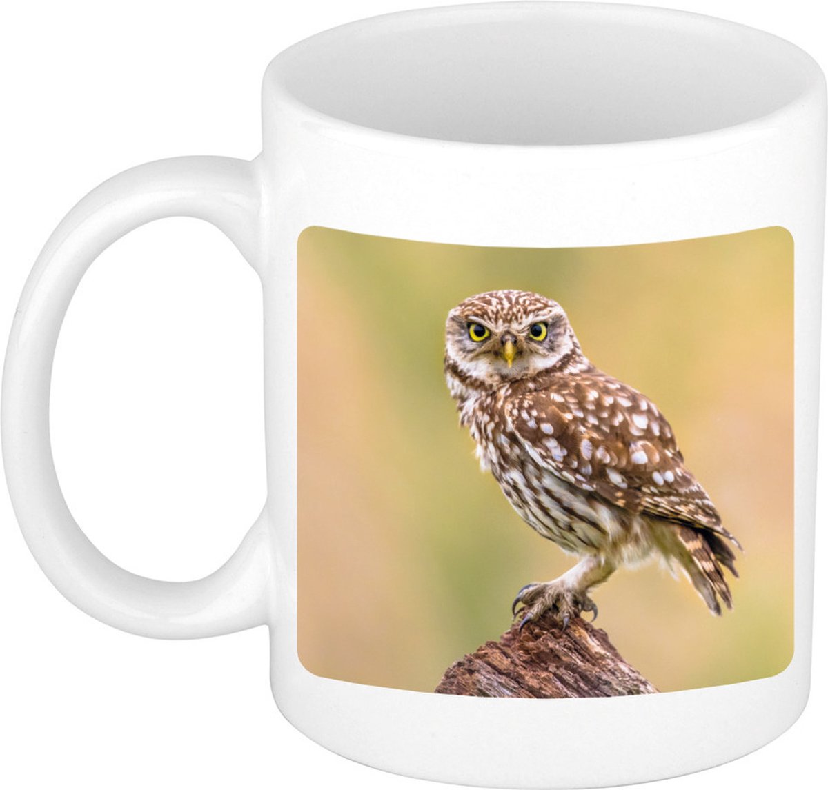Dieren steenuil foto mok 300 ml - cadeau beker / mok uilen liefhebber