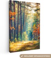 Canvas - Schilderij natuur - Bos - Bladeren - Natuur - Herfst - Wanddecoratie - Foto op canvas - 60x90 cm - Slaapkamer - Interieur