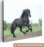 Belle toile de cheval noir 60x40 cm - Tirage photo sur toile (Décoration murale salon / chambre) / Peintures sur toile Animaux