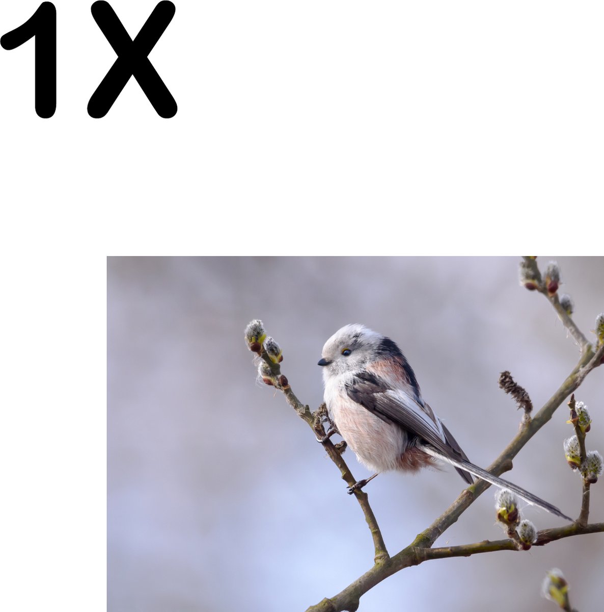 BWK Textiele Placemat - Wit met Zwart Vogeltje in de Boom - Set van 1 Placemats - 35x25 cm - Polyester Stof - Afneembaar