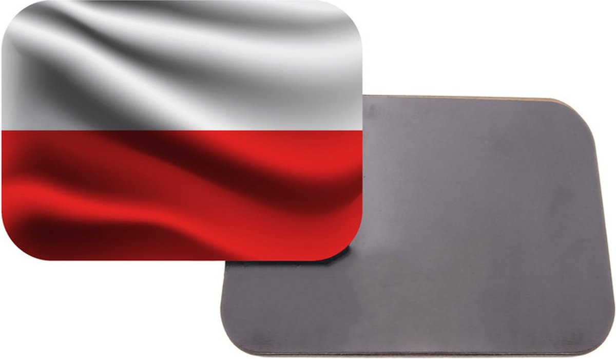 Kaart van polen met de nationale vlag van polen | Premium Vector