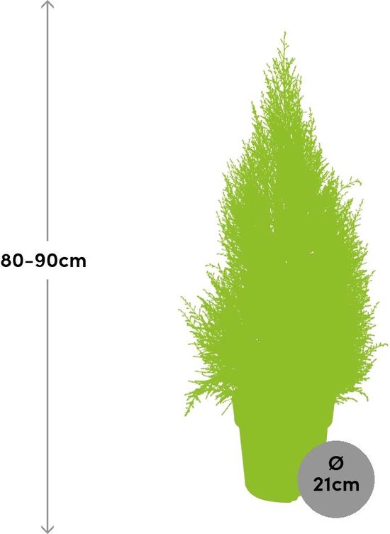 Talud/Platform Hardhout met Rode Glijbaan Polyester voor hoogte 90 cm