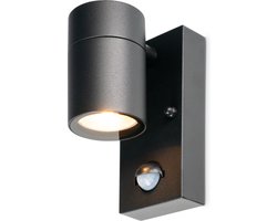 HOFTRONIC Mason wandlamp - 2700K warm wit - Bewegingsmelder en schemerschakelaar - IP44 spatwaterdicht - Spotlight voor binnen en buiten - Zwart