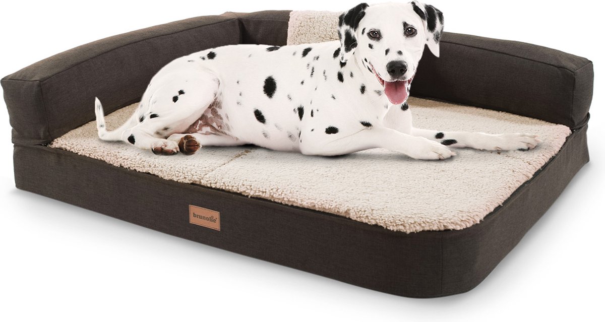 Brunolie Odin Hondenbed Hondenkussen - Wasbaar - Orthopedisch - Anti-Slip - Ademend - Traagschuim - Maat S (80 X 10 X 60 Cm)