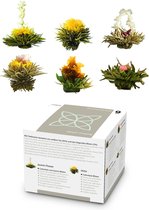 Theebloemen 6 verschillende soorten afzonderlijk verpakt heel productief