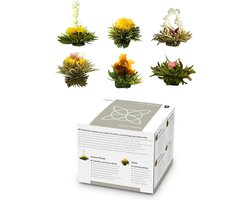 Theebloemen 6 verschillende soorten afzonderlijk verpakt heel productief