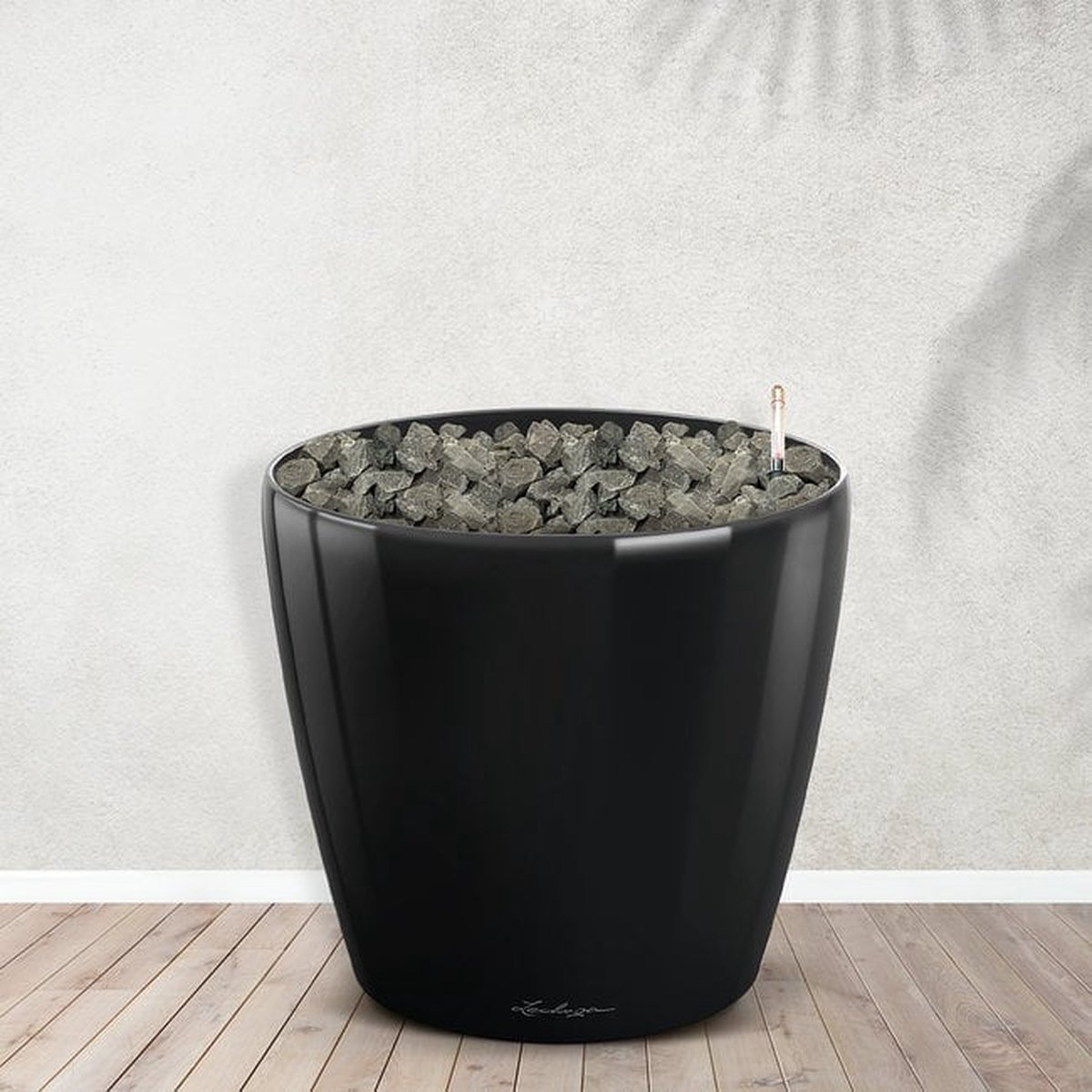 Combideal - Strelitzia Nicolai inclusief zelfwaterende pot Joy M - 200cm