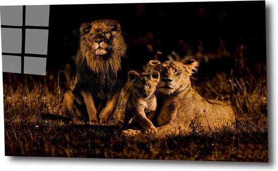 Lion family 3 90x60 plexiglas 5mm