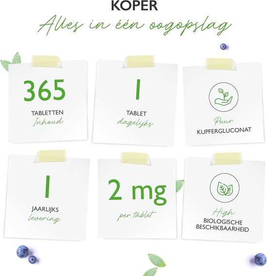 Koper - 365 tabletten met elk 2 mg - 1 jaarvoorraad - Hoge biologische beschikbaarheid - Kopergluconaat - Hooggedoseerd - Veganistisch - Zonder ongewenste toevoegingen | Vit4ever - Vit4ever