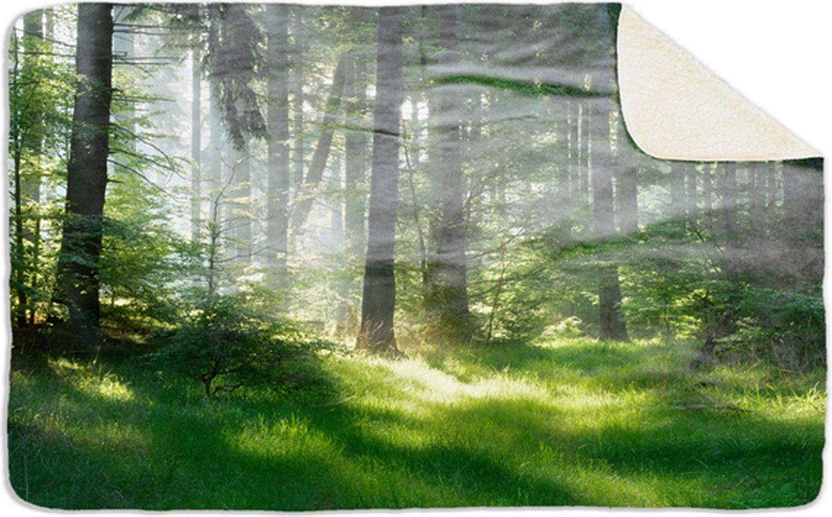 Fleecedeken Bos2, FD2023609, 96x146cm, Polyester Sherpa