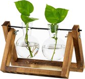Vermeerderingsstation voor planten upgrade uienvaas plantenbak met houten standaard glazen bloempot binnen voor tafeldecoratie vintage thuiskantoor accessoires, 2 bollen