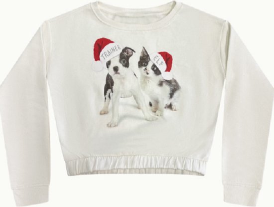 Kerst - trui- sweater -Hond en Kat - Trainee Elf - Wit - Meisjes - maat 146/152