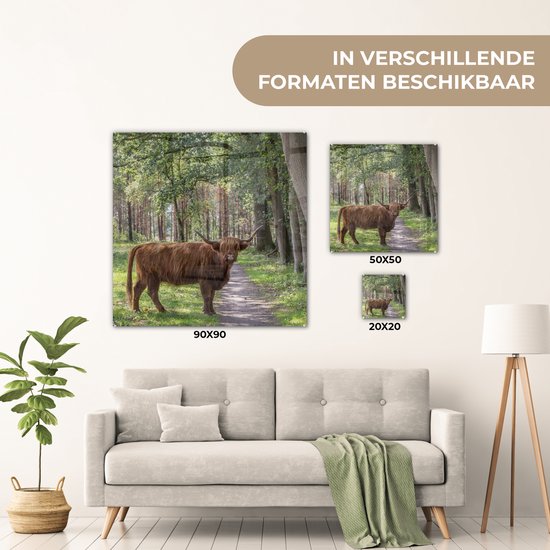 MuchoWow® Peinture sur verre 20x20 cm - Peinture sur verre acrylique - Forêt - Highland écossais - Lumière - Photo sur verre - Peintures