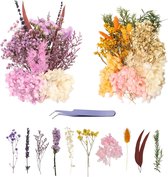 2 sets droogbloemen om te knutselen, gedroogde bloemen, droogbloemen, droogbloemen, wit, paars, droogbloemen, decoratie met pincet voor kunst, knutselen, decoratie