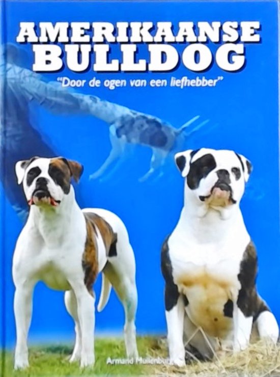 Amerikaanse Bulldog : Door de ogen van een liefhebber