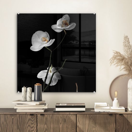 MuchoWow® Peinture sur verre 50x50 cm - Peinture sur verre acrylique - Orchidée - Fleurs - Zwart - Wit - Nature morte - Photo sur verre - Peintures