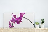 MuchoWow® Glasschilderij 40x20 cm - Schilderij acrylglas - Orchidee tegen witte achtergrond - Foto op glas - Schilderijen