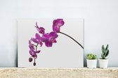 MuchoWow® Glasschilderij 40x30 cm - Schilderij acrylglas - Orchidee tegen witte achtergrond - Foto op glas - Schilderijen