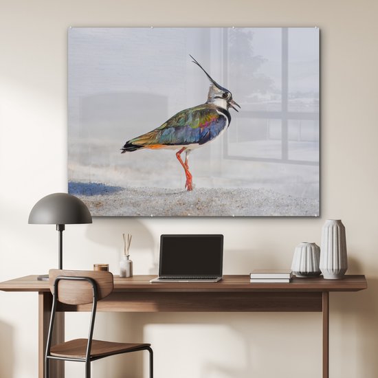 Peinture sur verre - Photo sur verre - Vogel - Ressorts - Arc-en-ciel - Sable - 120x90 cm - Verre acrylique - Peinture sur verre oiseaux - Décoration murale - Peinture sur verre nature - Décoration murale animaux