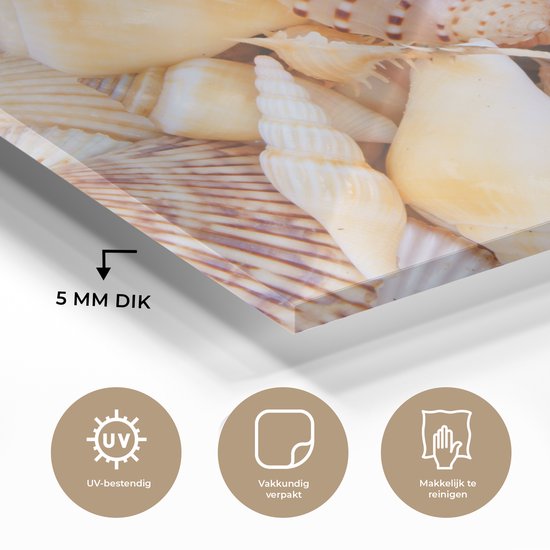 MuchoWow - Peinture sur verre - Plaque acrylique - Coquillages - Oranje - Jaune - Plage - Décoration murale - Peinture sur verre - Peinture sur verre mer - 120x80 cm - Photo sur verre - Verre acrylique