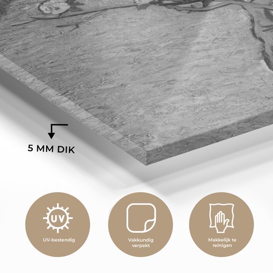 MuchoWow® Peinture sur verre 90x90 cm - Peinture sur verre - Poirier en fleur - Vincent van Gogh - Photo sur verre acrylique - Peintures