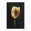 Gouden tulp