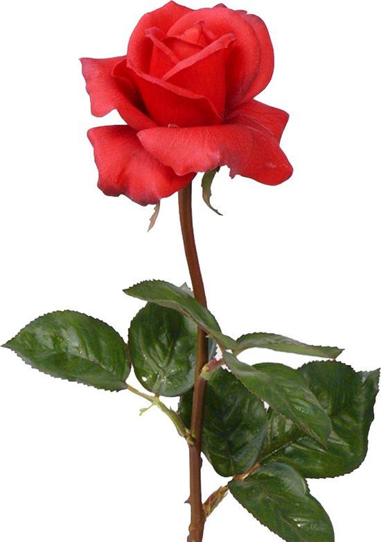 Top Art Kunstbloem roos Caroline - rood - 70 cm - zijde - kunststof steel - decoratie bloemen