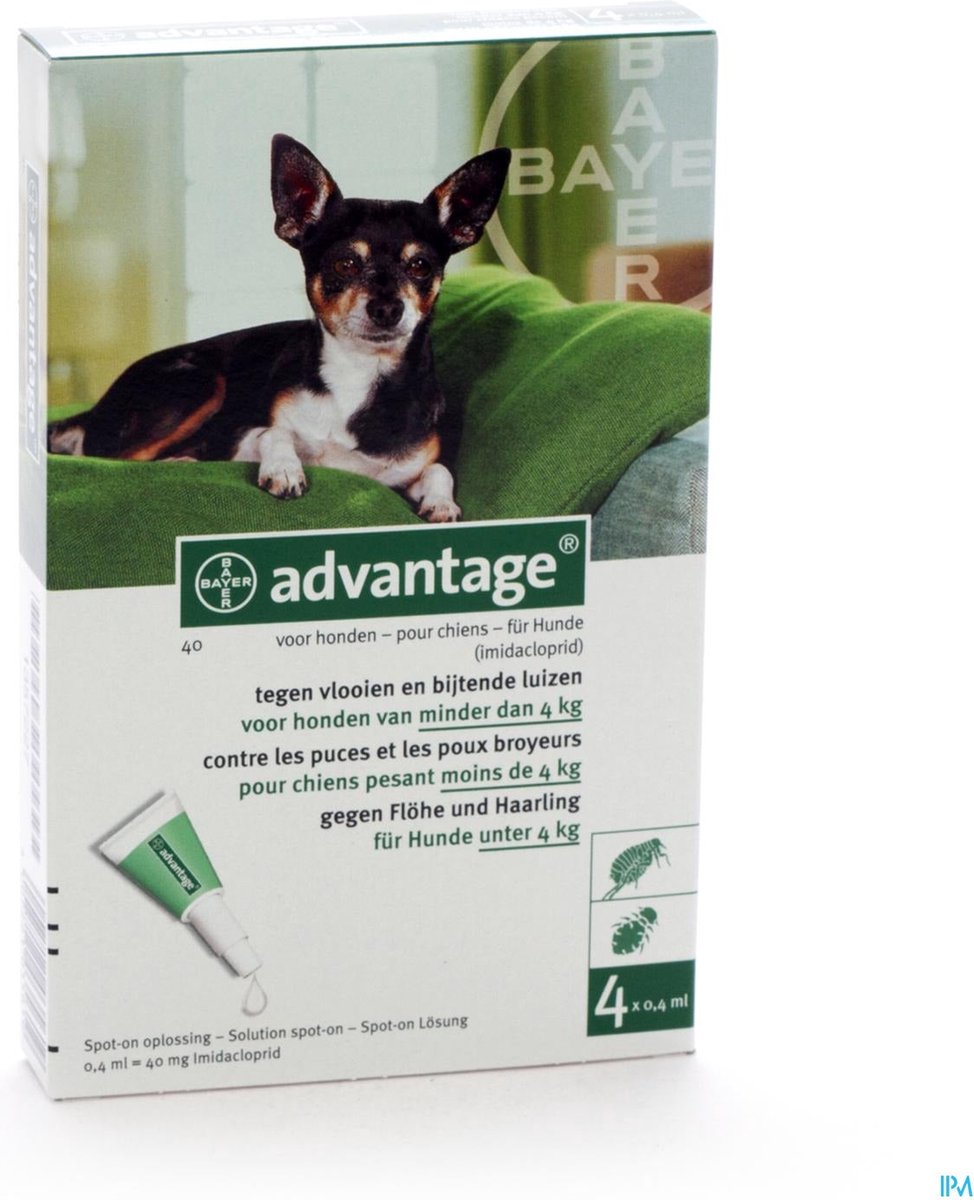 Bayer Anti vlooienmiddel Advantage 40 1 - 4 kg - 4 pipetten