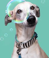DWAM Dog with a Mission Halsband Hond – Hondenhalsband – Dierenprint Blauw – XL – Leer – Halsomvang tussen 47-57 x 4 cm – Zara