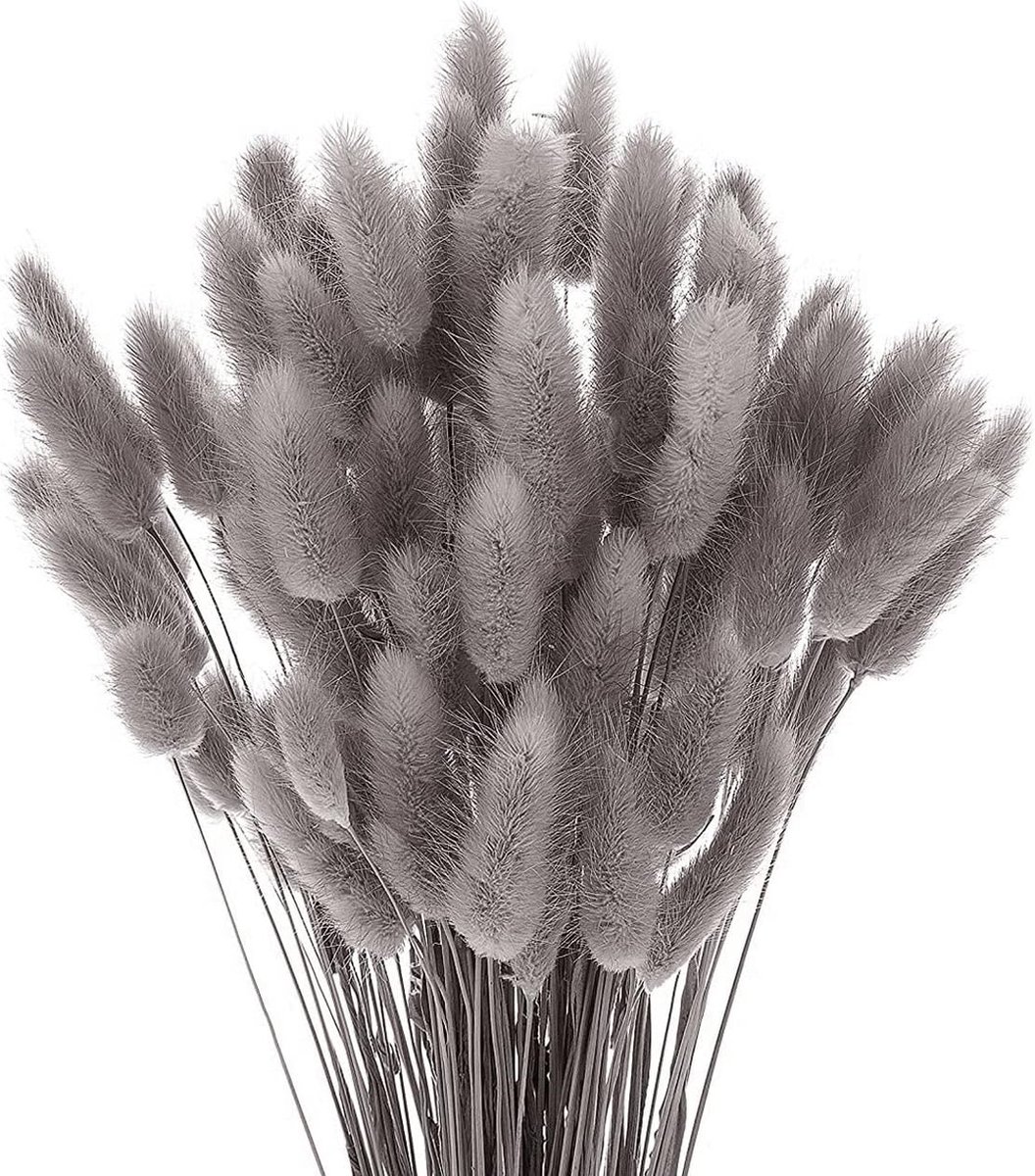 meerklose 50 Stokken Pampasgras Gedroogde Bloemen Geen Geur Nooit Verdorren Gedroogd Bloemen Boeket Boho Decor Extra Pluizig Decoratieve Huistoebehoren (Grijs-Zwart)