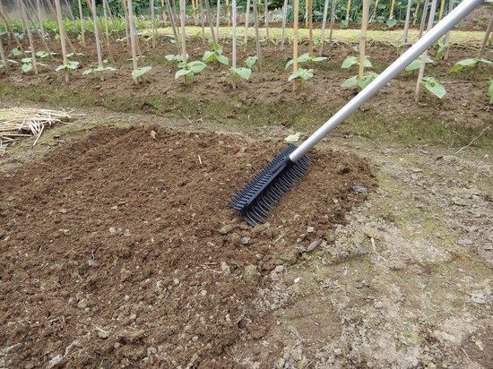 UPP 2 in 1 Tuinhark XXL van UPP — afbeelding 3