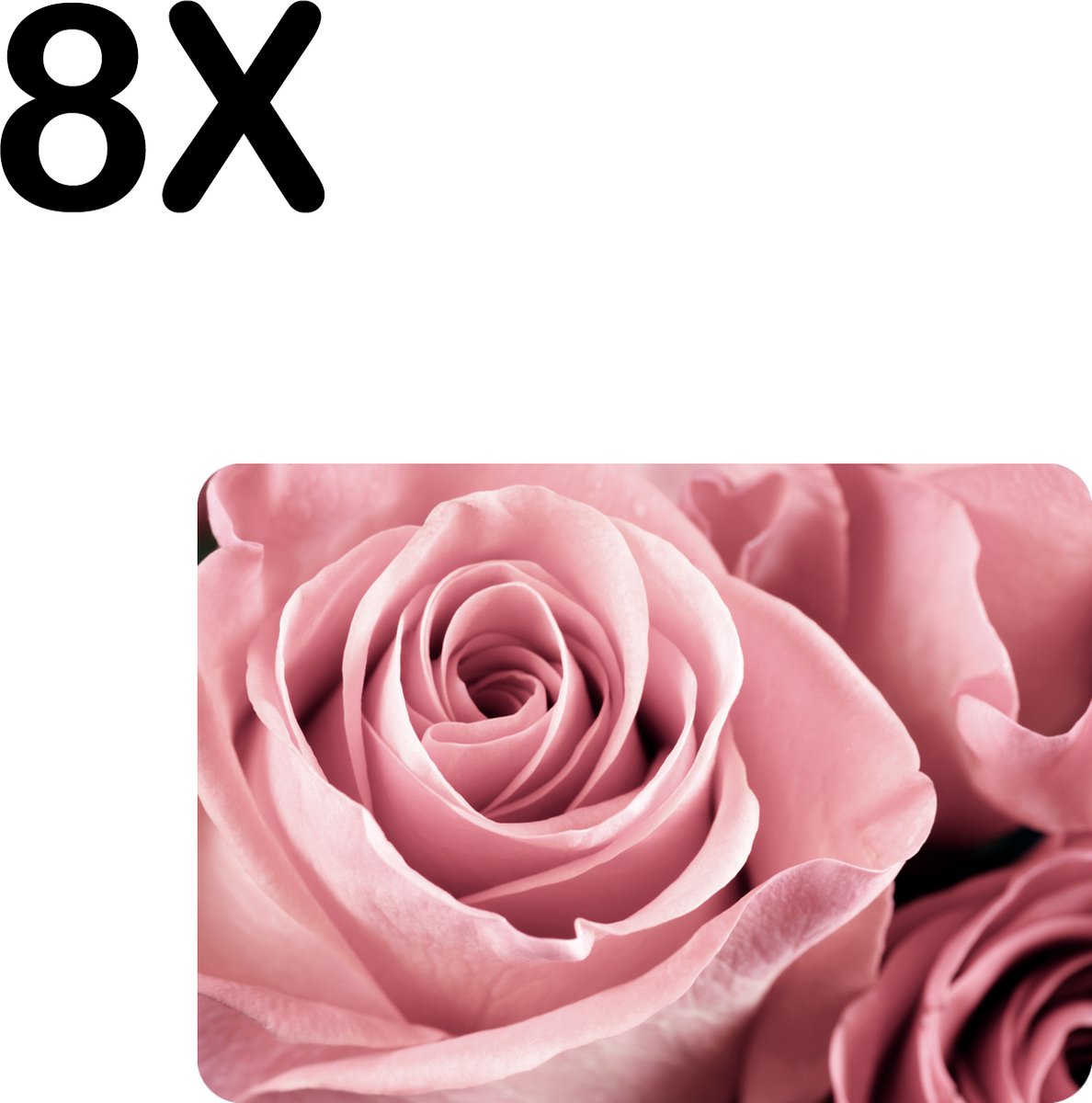 BWK Flexibele Placemat - Close Up Roze Roos - Set van 8 Placemats - 35x25 cm - PVC Doek - Afneembaar
